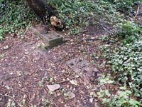 Rubery station site relics