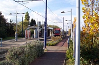 Bradley Lane Midland Metro stop from entrance pathway