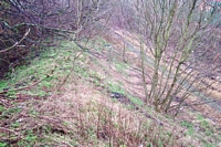 Brockmoor Halt entrance pathway