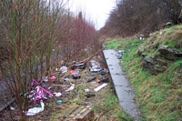 Bromley Halt Platform site towards Wombourne