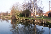 Crumbling canal bank