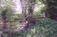 Cutnall Green halt entrance to Stourbridge platform
