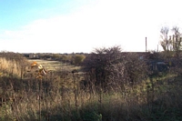 Gornal halt trackbed to Tansey Green Road