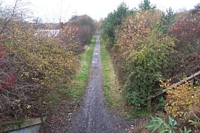 Trackbed to Baggeridge Colliery