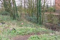 Hagley Road station entrance pathway
