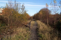 Harts Hill station trackbed towards Blowers Green