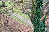Icknield Port Road station entrance pathway