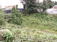 North Walsall station site