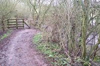 Penn halt pathway to platform