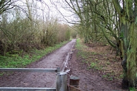 Penn halt trackbed towards Wolverhampton