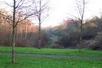 Priestfield station trackbed towards Bilston West