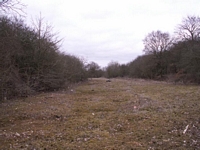 Studley & Astwood Bank station trackbed towards Redditch