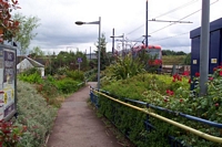 Winson Green, Outer Circle Midland Metro stop entrance pathway